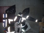 09PRII-07.JPG