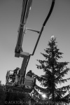 téléthon 2013-31.jpg