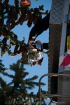 téléthon 2013-16.jpg