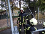 14ExAutomne-01.jpg