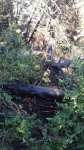 15Al53-03.jpg