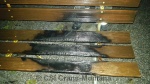 16Al67-03.jpg