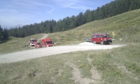 12Al95-01.jpg